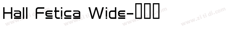 Hall Fetica Wide字体转换